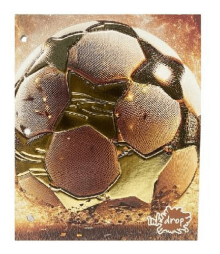 CARPETA ESCOLAR DOS TAPAS 25CM PELOTAS II INKDROP