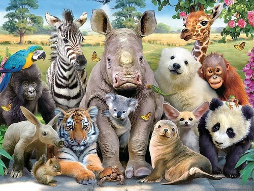 PUZZLE ROMPECABEZAS X100 SELFIE ANIMALES SALVAJES PRIME 3D - Tienda ROY ...