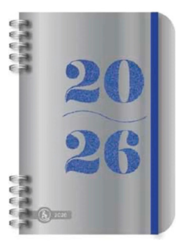 Agenda 2026 Ry 12x17 Diaria Premium Plateado Plata 2026