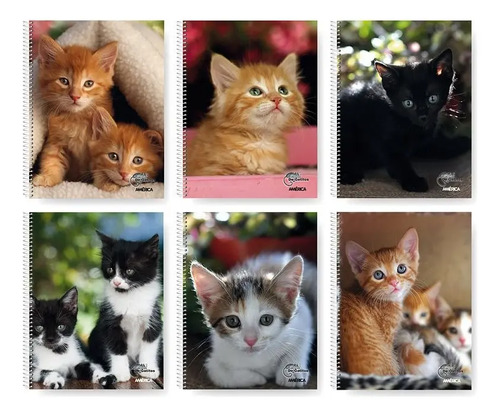 Cuaderno America Gatitos 29/7 X 80 Hojas Rayado Gato